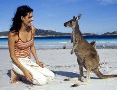 australie vacances - Image